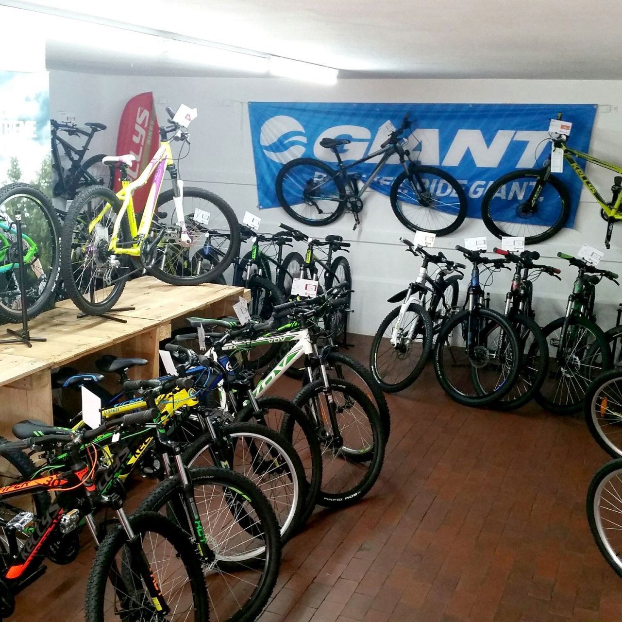 GIANT E-Bikes im Laden